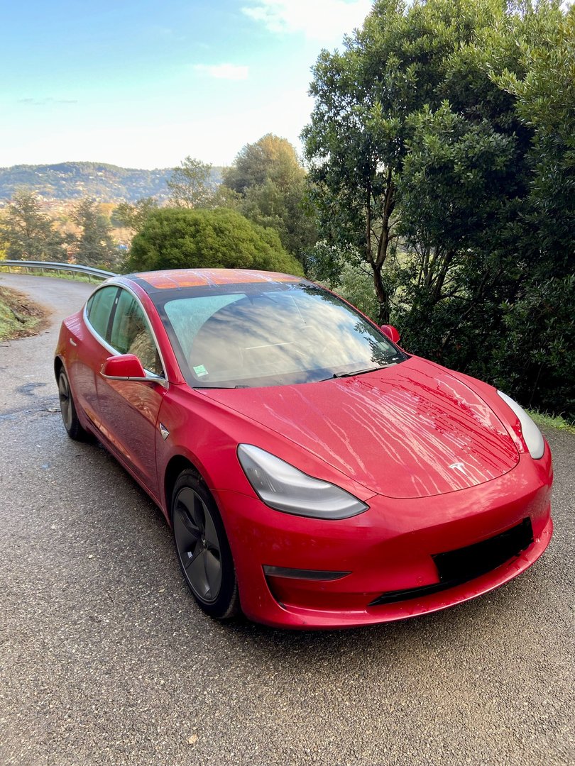 2019 / Model 3 / Performance
