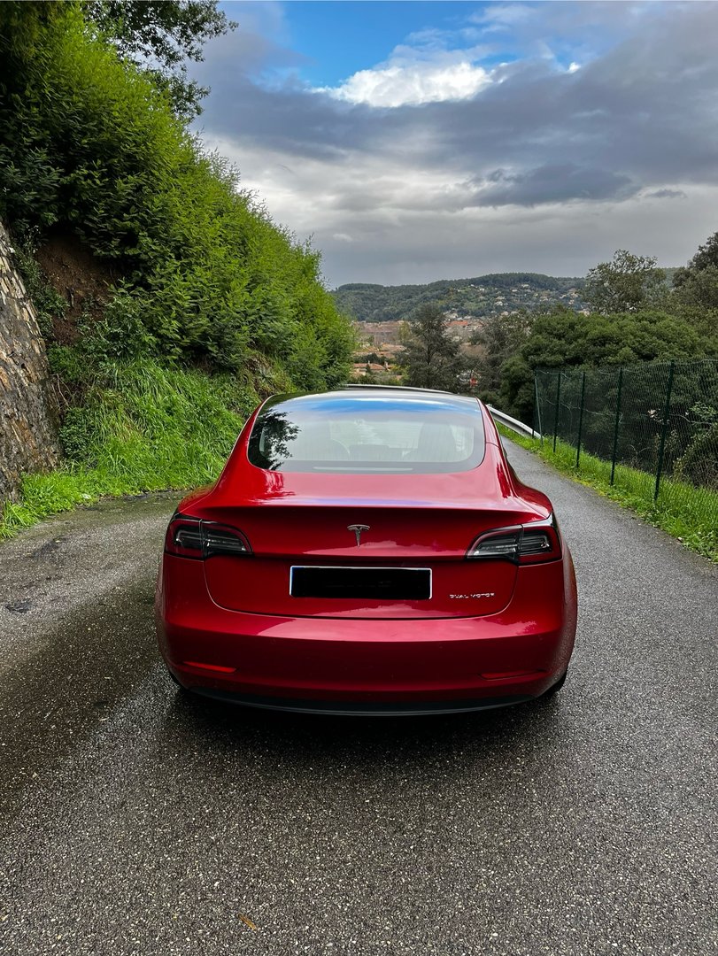 2019 / Model 3 / Performance