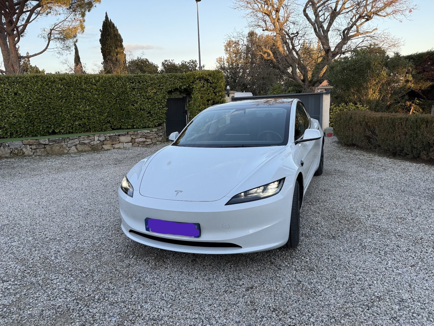 2024 / Model 3 / Propulsion